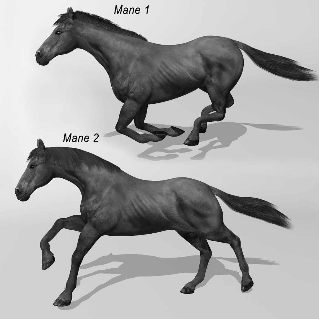 Realistic Horses 3D Model – Rigged Animated Bundle with PBR Textures - View 63