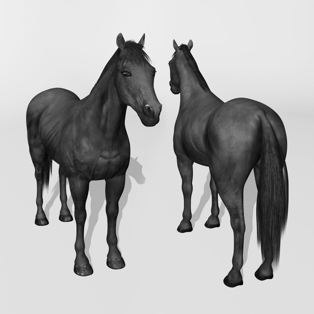 Realistic Horses 3D Model – Rigged Animated Bundle with PBR Textures - View 64