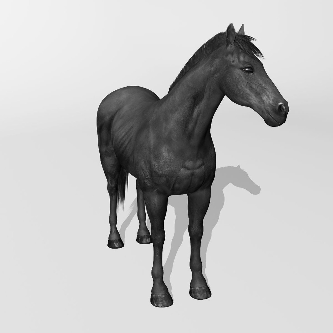 Realistic Horses 3D Model – Rigged Animated Bundle with PBR Textures - View 65