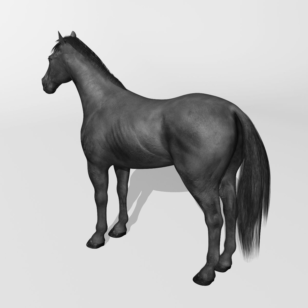 Realistic Horses 3D Model – Rigged Animated Bundle with PBR Textures - View 66