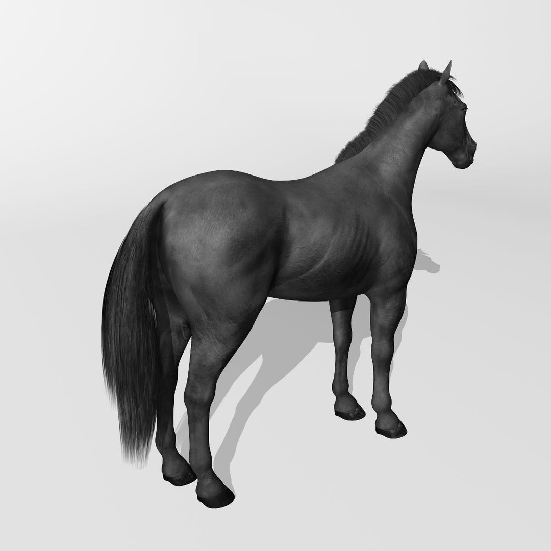 Realistic Horses 3D Model – Rigged Animated Bundle with PBR Textures - View 67