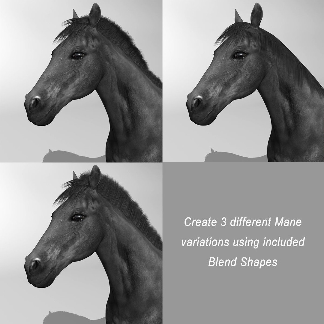 Realistic Horses 3D Model – Rigged Animated Bundle with PBR Textures - View 68