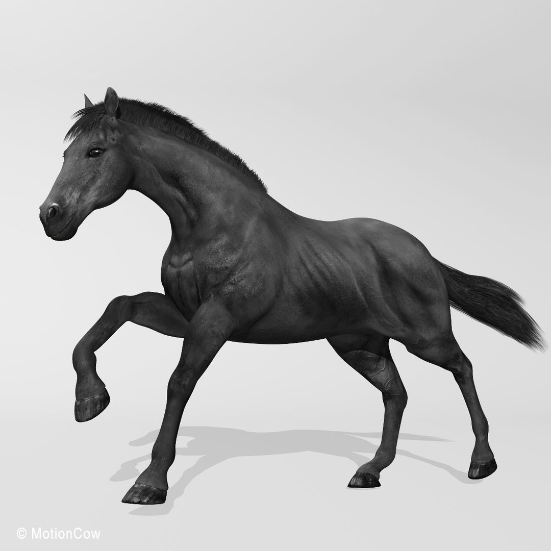 Realistic Horses 3D Model – Rigged Animated Bundle with PBR Textures - View 69