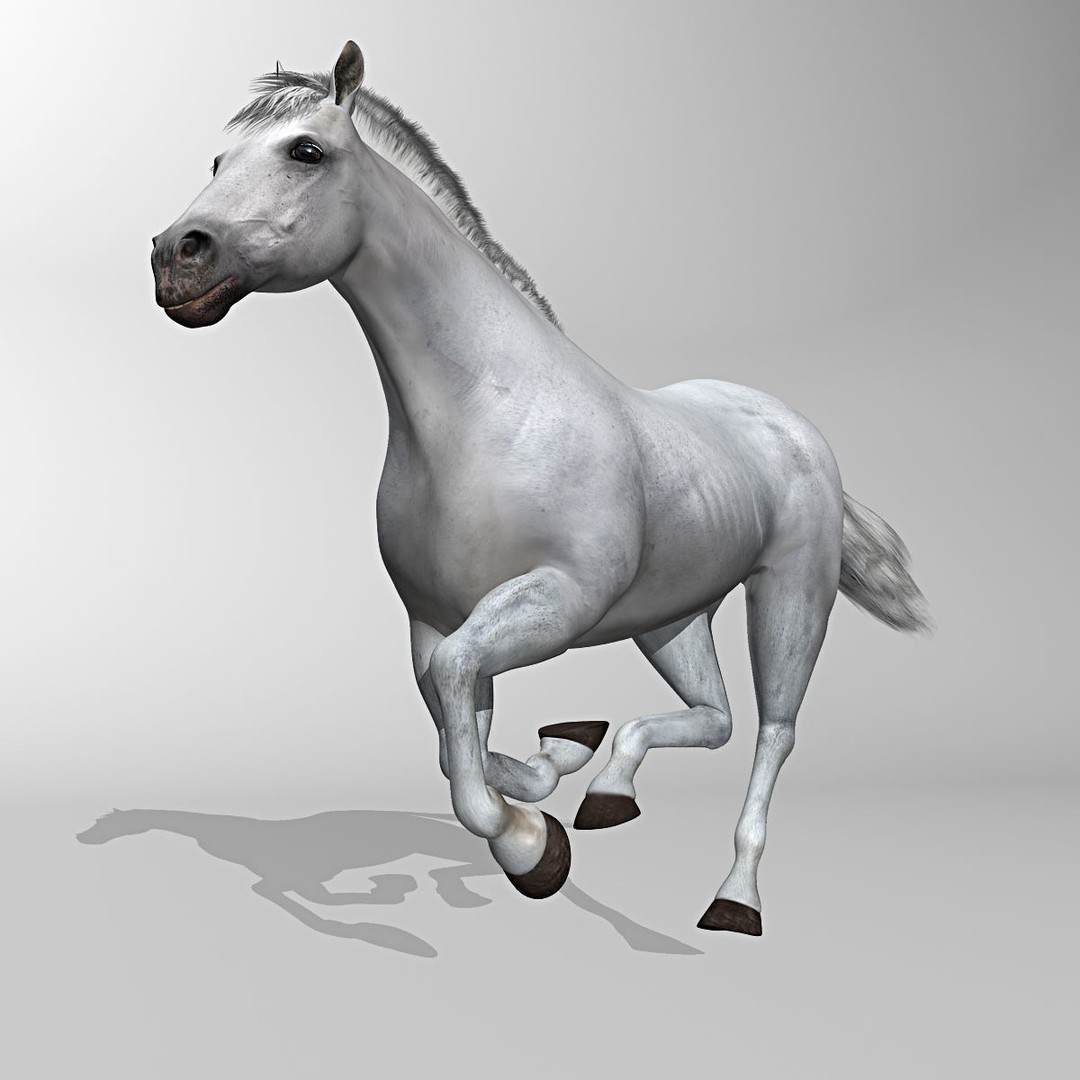Realistic Horses 3D Model – Rigged Animated Bundle with PBR Textures - View 7