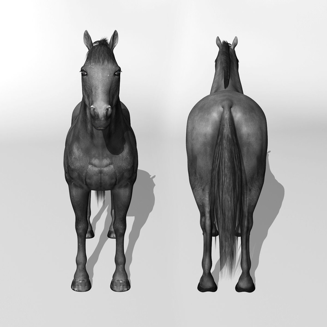 Realistic Horses 3D Model – Rigged Animated Bundle with PBR Textures - View 70