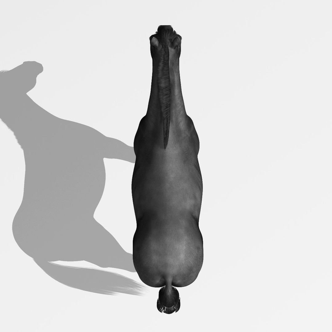 Realistic Horses 3D Model – Rigged Animated Bundle with PBR Textures - View 71