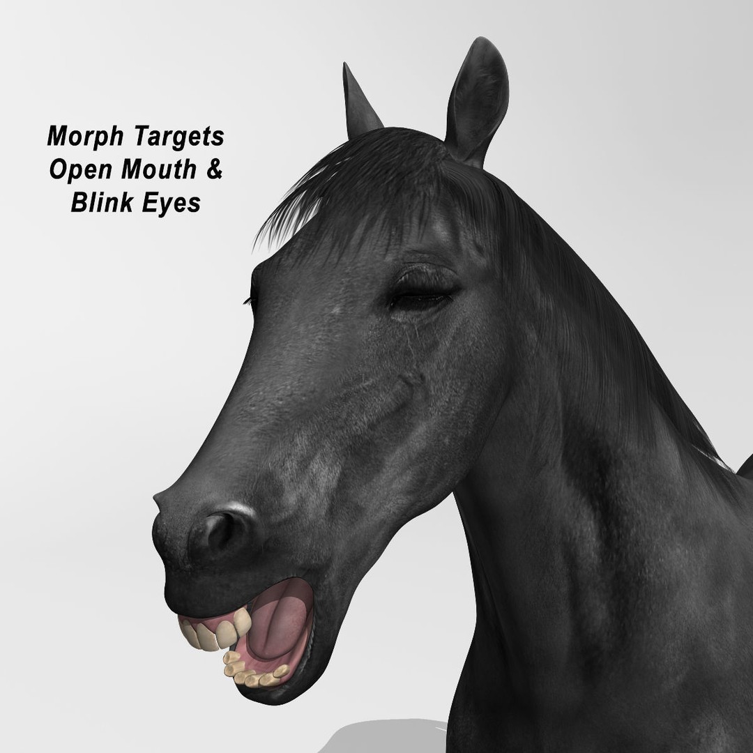 Realistic Horses 3D Model – Rigged Animated Bundle with PBR Textures - View 72