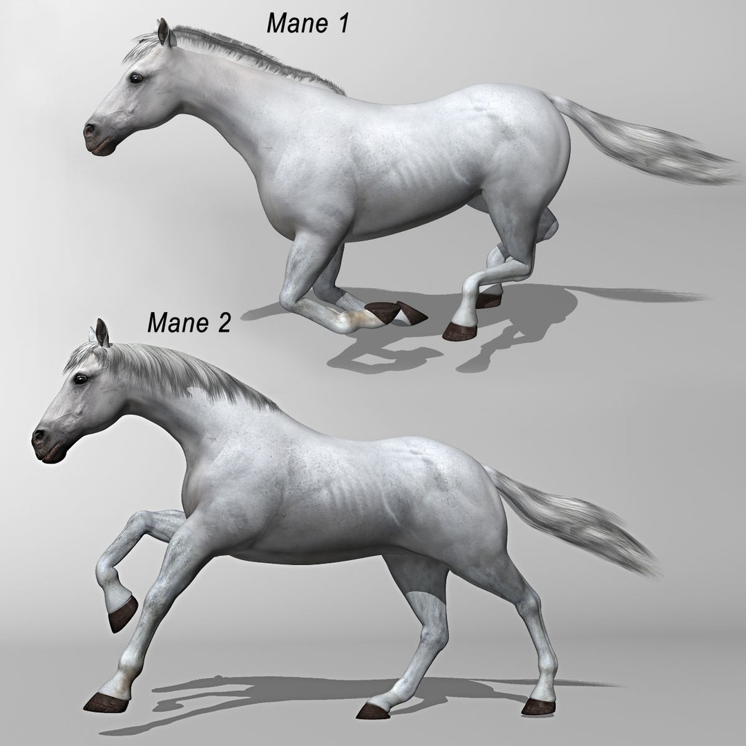 Realistic Horses 3D Model – Rigged Animated Bundle with PBR Textures - View 9