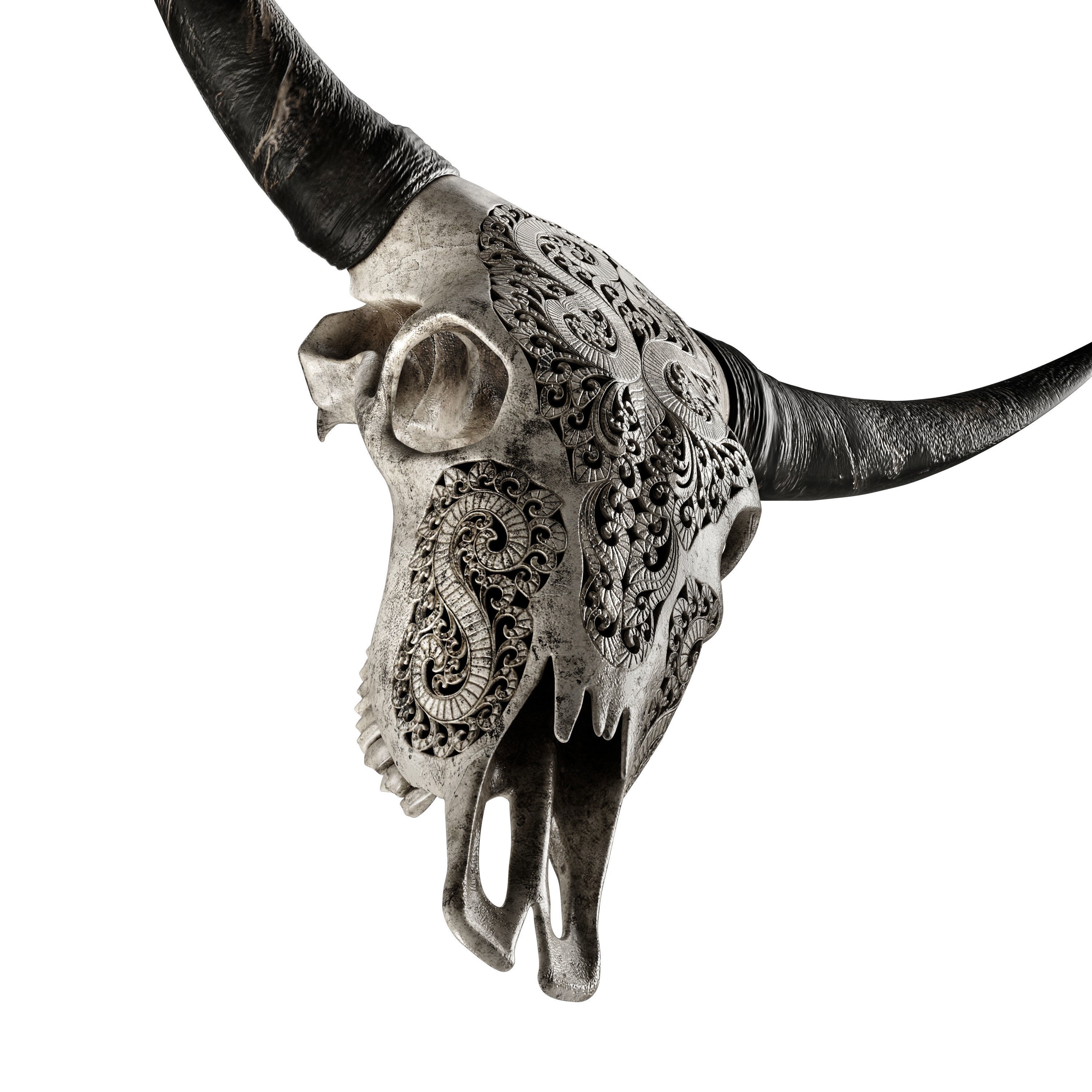 Carved Cow Skull - Detailed Game-Ready 3D Model - View 15