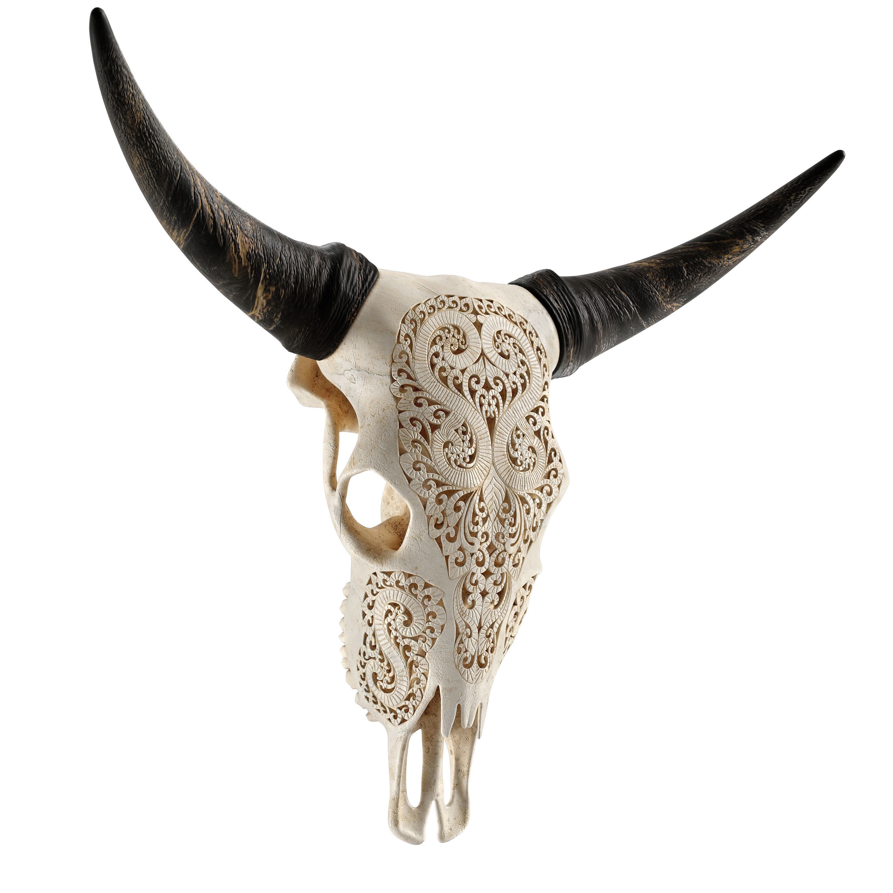 Carved Cow Skull - Detailed Game-Ready 3D Model - View 18