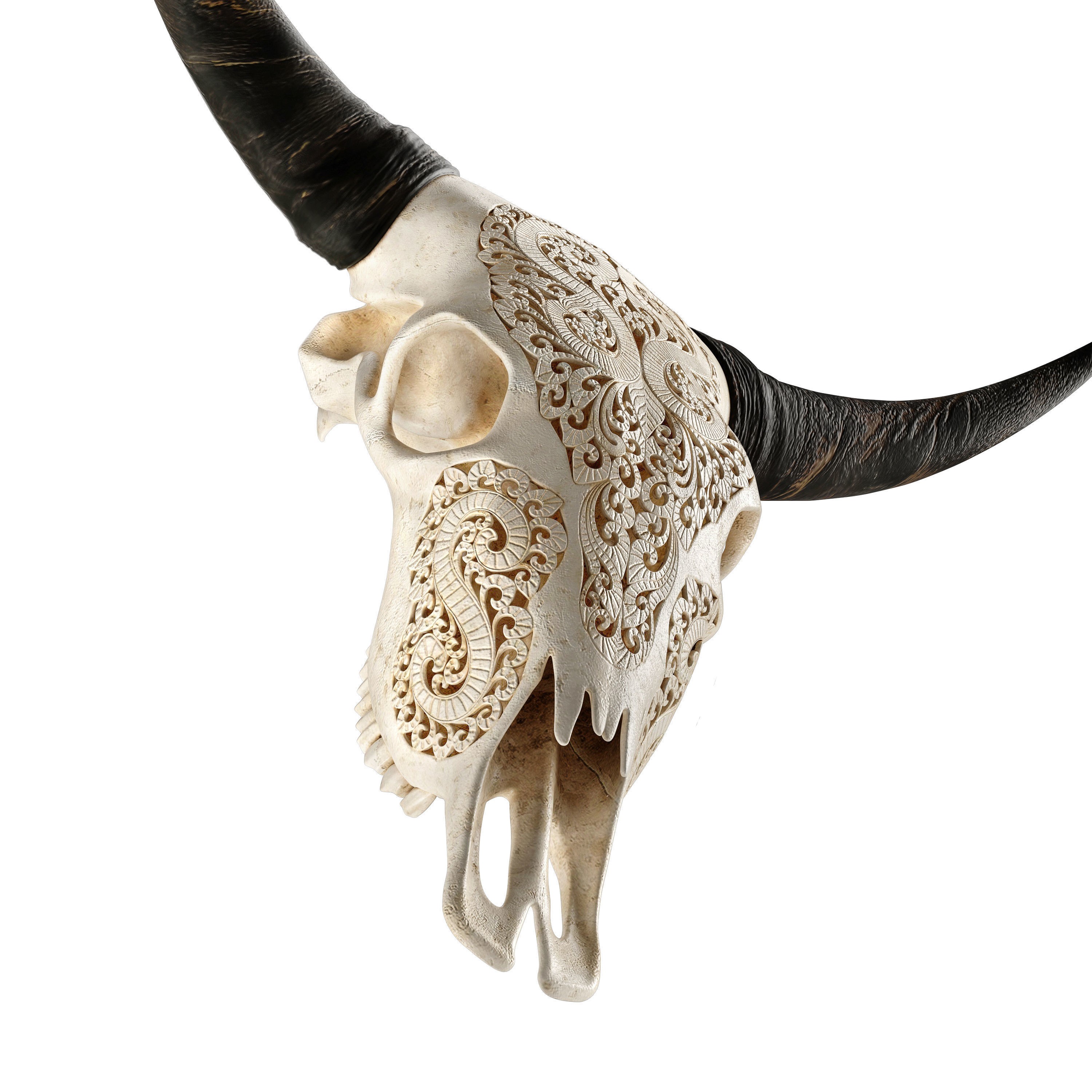 Carved Cow Skull - Detailed Game-Ready 3D Model - View 19