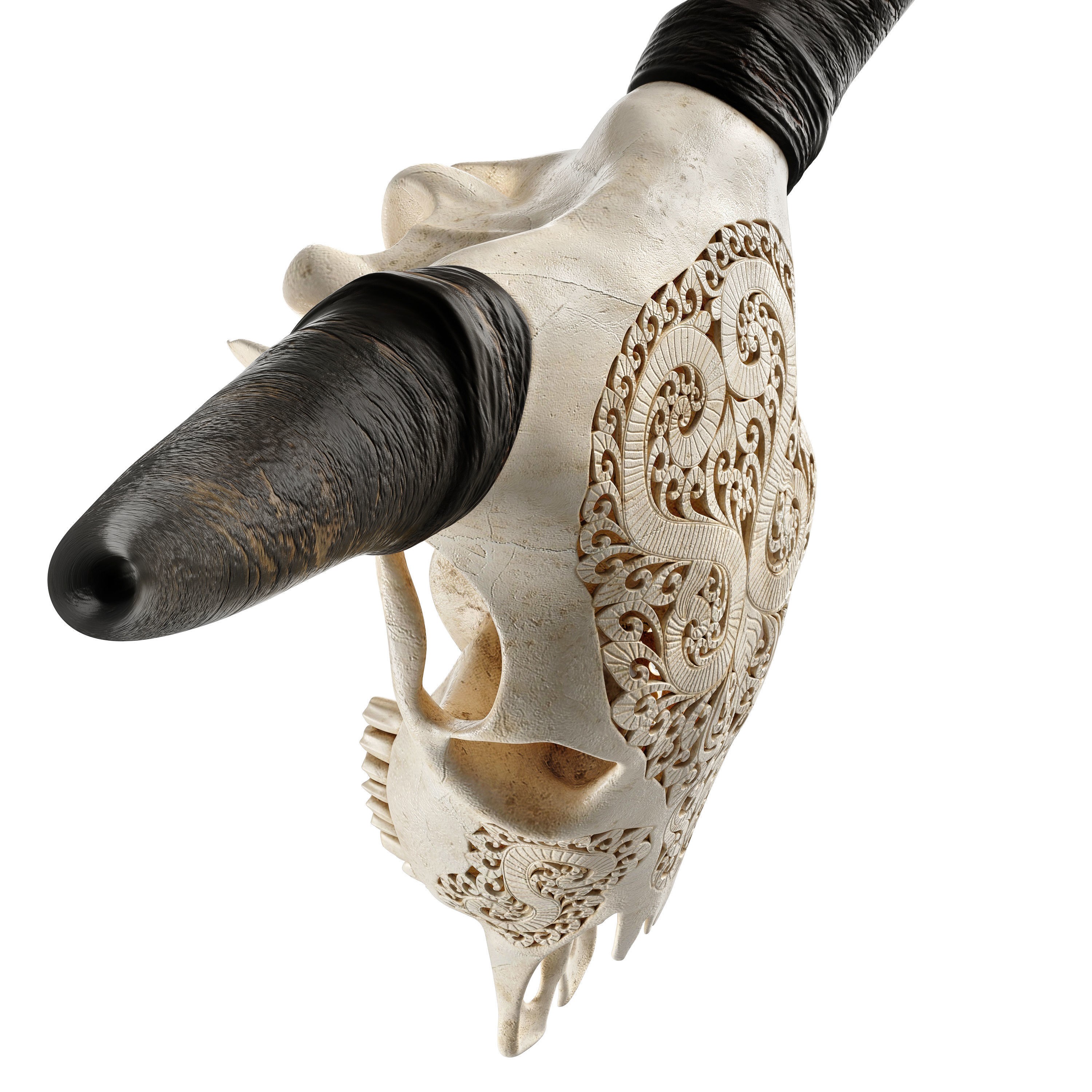 Carved Cow Skull - Detailed Game-Ready 3D Model - View 20