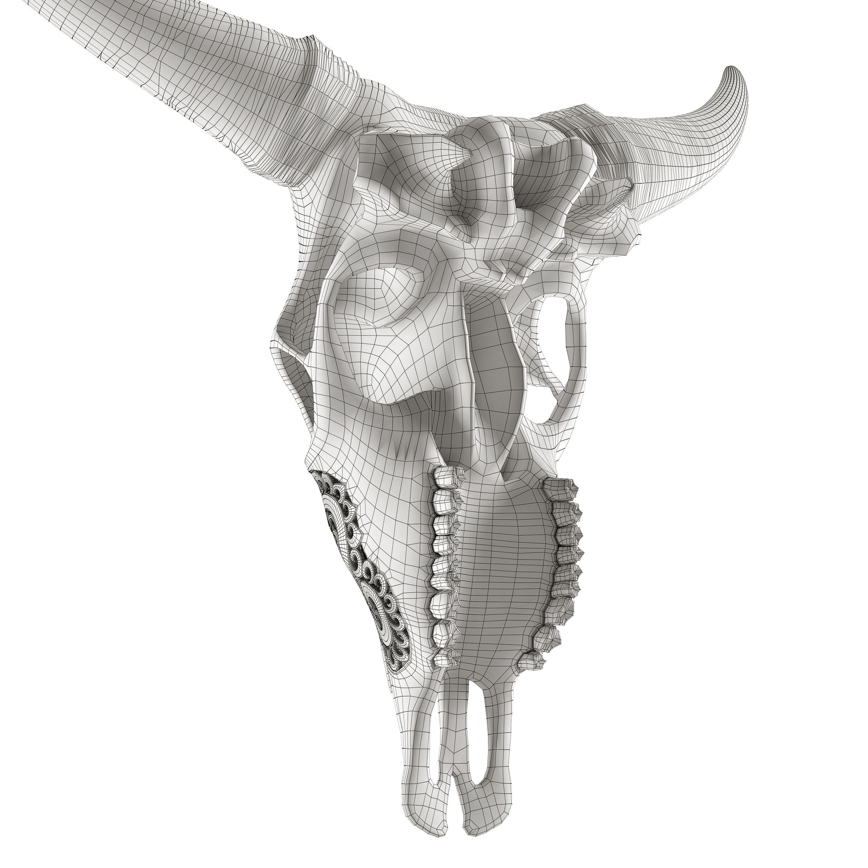 Carved Cow Skull - Detailed Game-Ready 3D Model - View 23