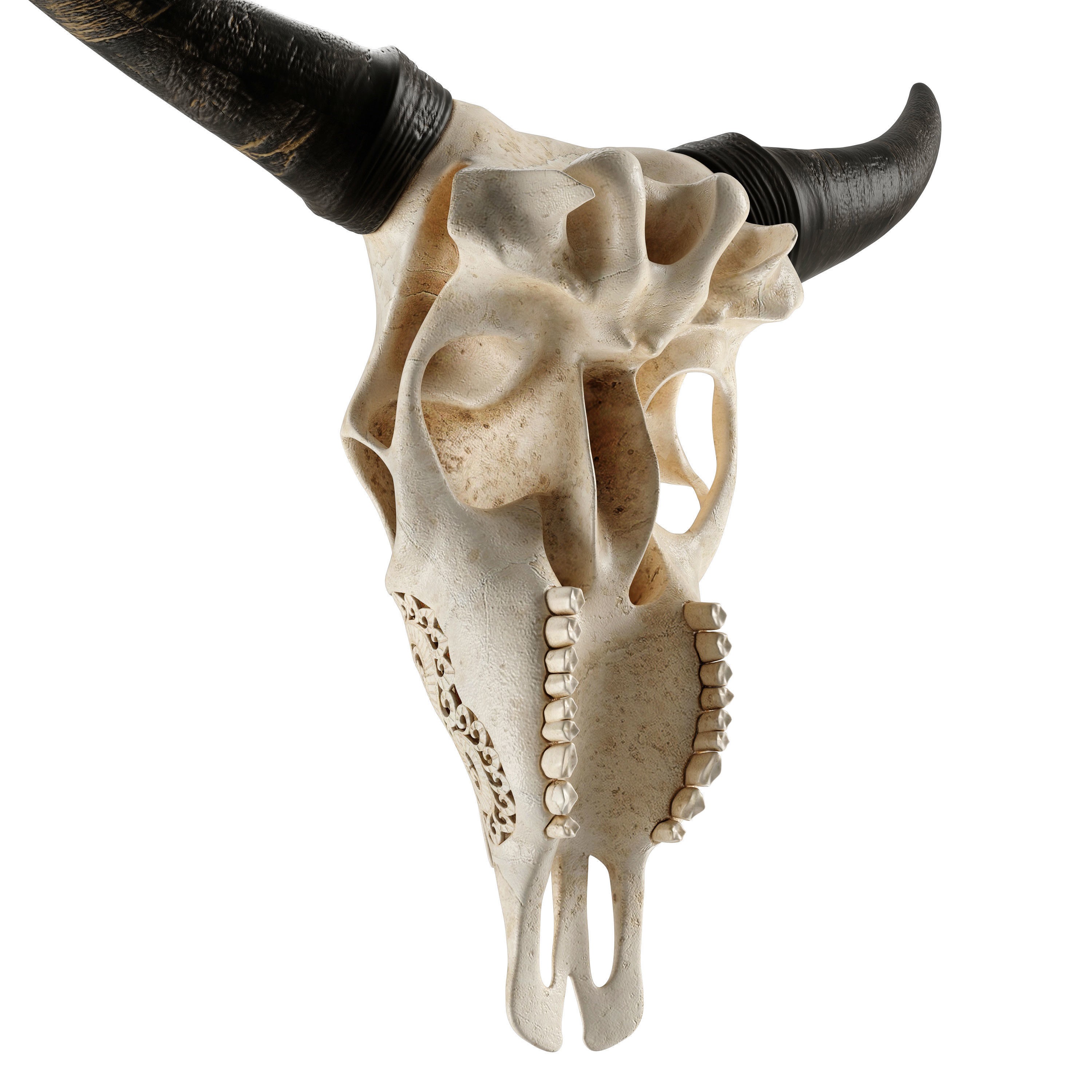 Carved Cow Skull - Detailed Game-Ready 3D Model - View 5
