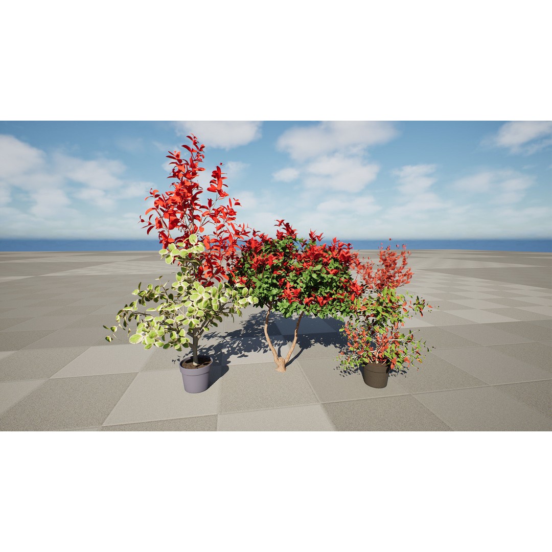 Photinia Plant 3D Model – Low Poly Potted Asset for Archviz, FBX - View 5