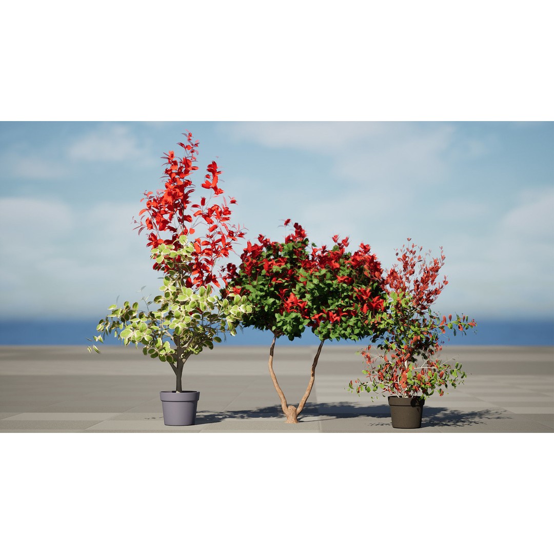 Photinia Plant 3D Model – Low Poly Potted Asset for Archviz, FBX - View 6