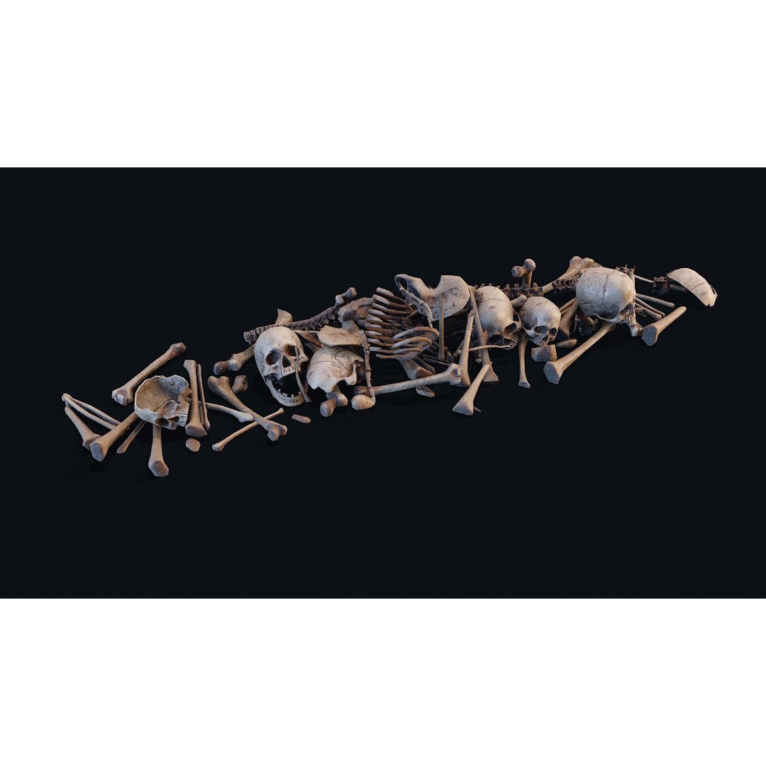 Human Bones Pile 3D Model – Low Poly PBR Asset, FBX & OBJ Formats - View 4