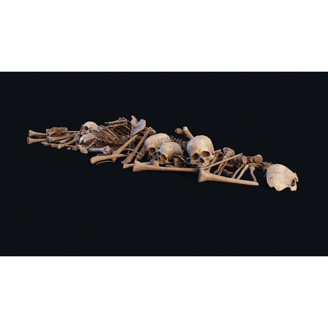 Human Bones Pile 3D Model – Low Poly PBR Asset, FBX & OBJ Formats - View 5