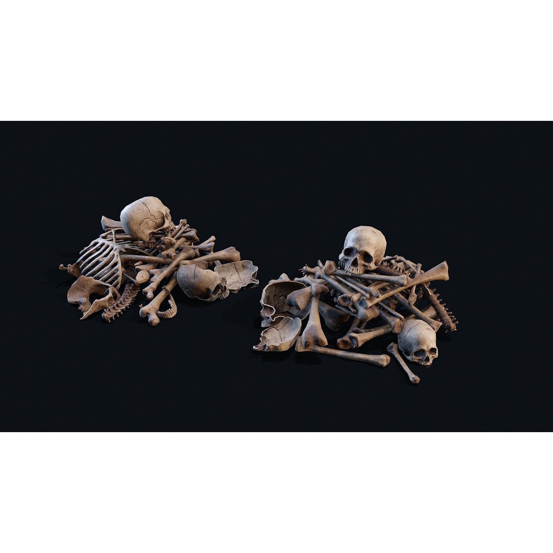 Human Bones Pile 3D Model – Low Poly PBR Asset, FBX & OBJ Formats - View 7