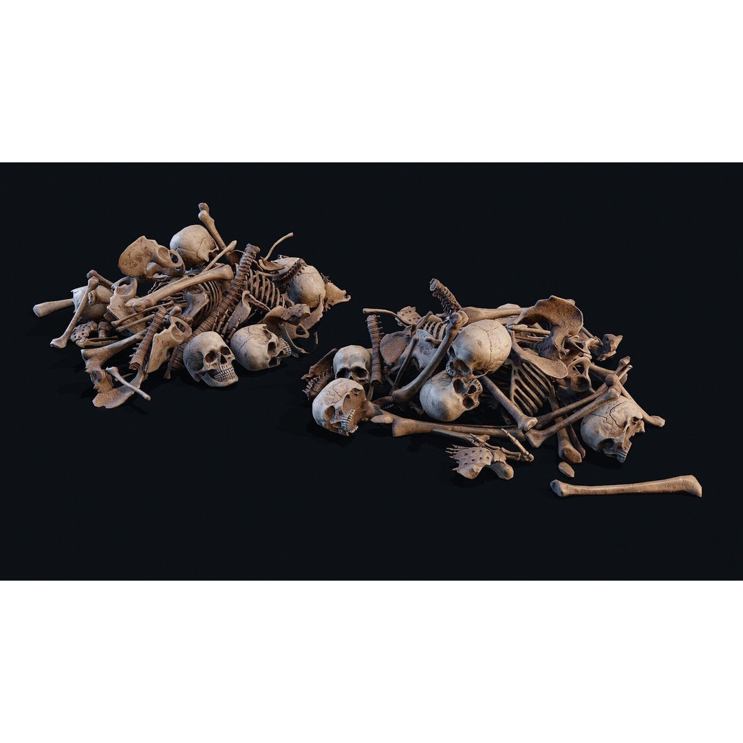 Human Bones Pile 3D Model – Low Poly PBR Asset, FBX & OBJ Formats - View 8