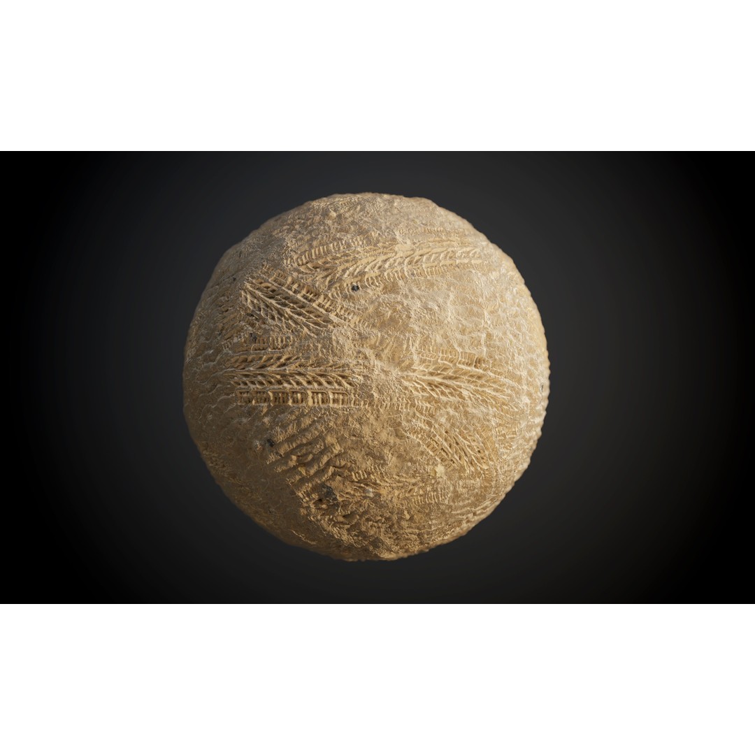 Ground Textures 3D Model – Seamless PBR Dirt, Mud, Sand, Rock - View 41