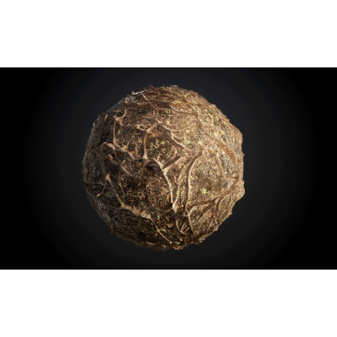 Ground Textures 3D Model – Seamless PBR Dirt, Mud, Sand, Rock - View 9