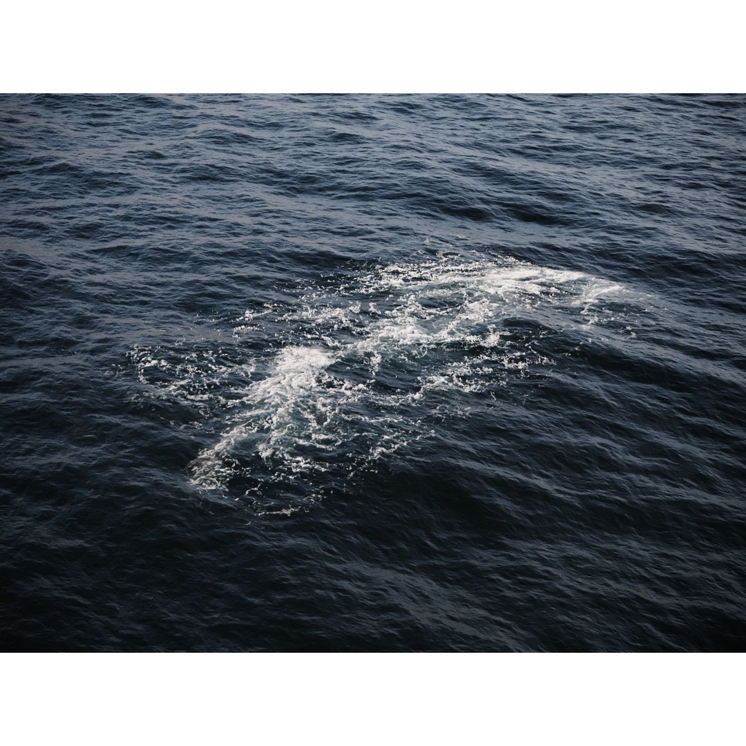 Ocean Foam Decals 3D Model – Photorealistic PBR Textures, FBX, OBJ - View 6