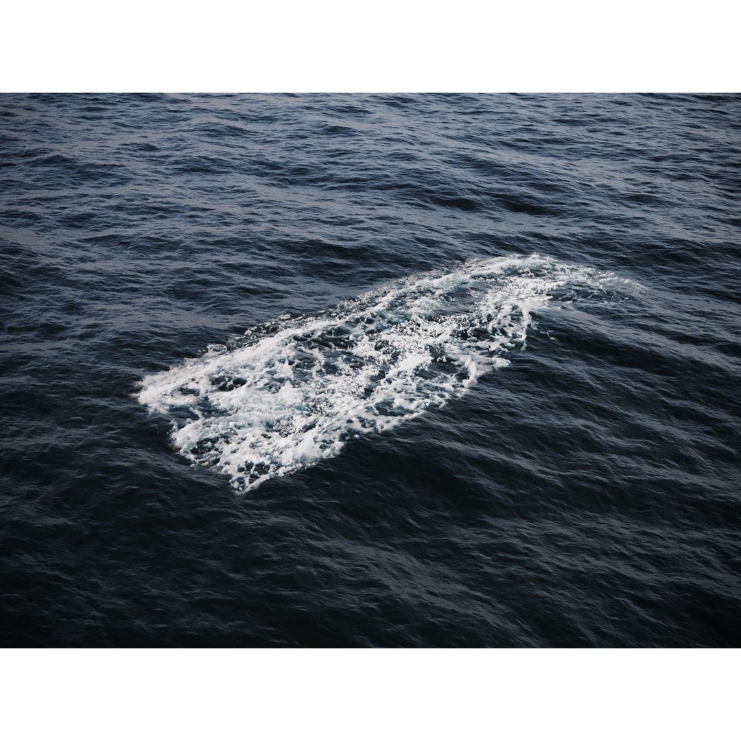 Ocean Foam Decals 3D Model – Photorealistic PBR Textures, FBX, OBJ - View 9