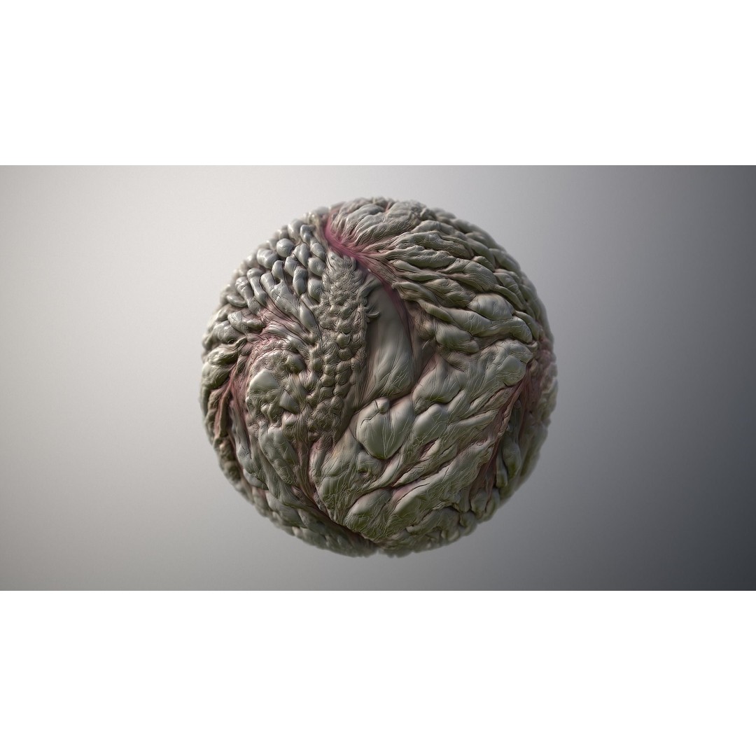 Monster Skin 3D Model – Seamless PBR Texture Pack for Games - View 6