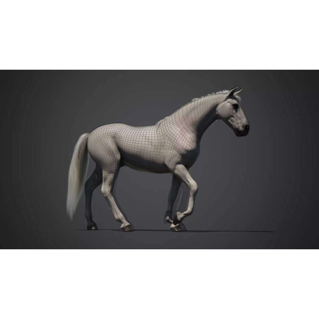 White Horse 3D Model – Rigged Animated Character, FBX - View 10