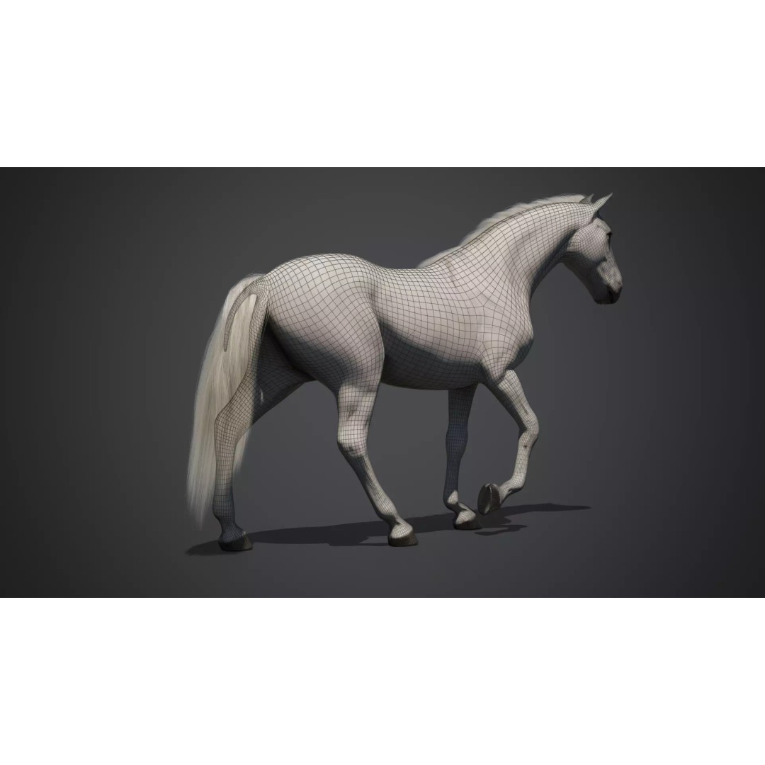 White Horse 3D Model – Rigged Animated Character, FBX - View 11