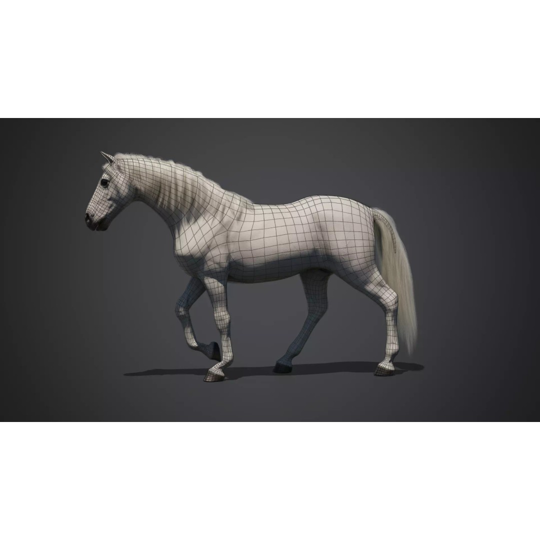 White Horse 3D Model – Rigged Animated Character, FBX - View 12
