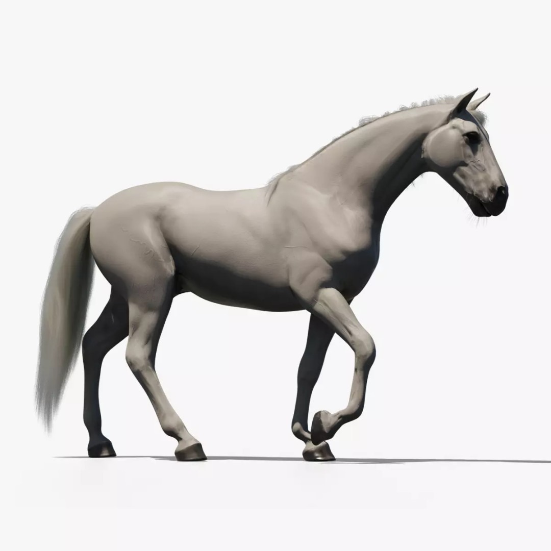 White Horse 3D Model – Rigged Animated Character, FBX - View 15