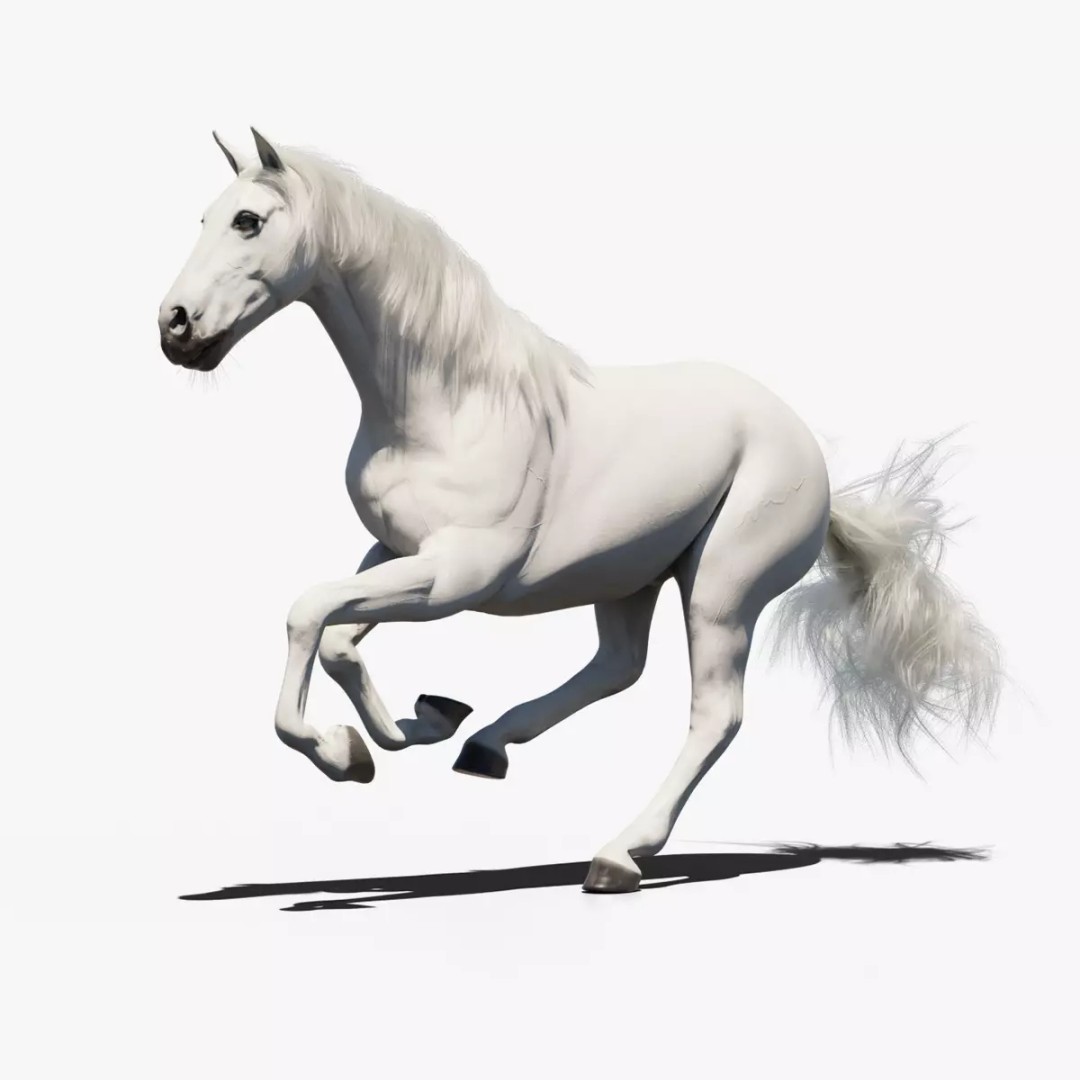 White Horse 3D Model – Rigged Animated Character, FBX - View 16