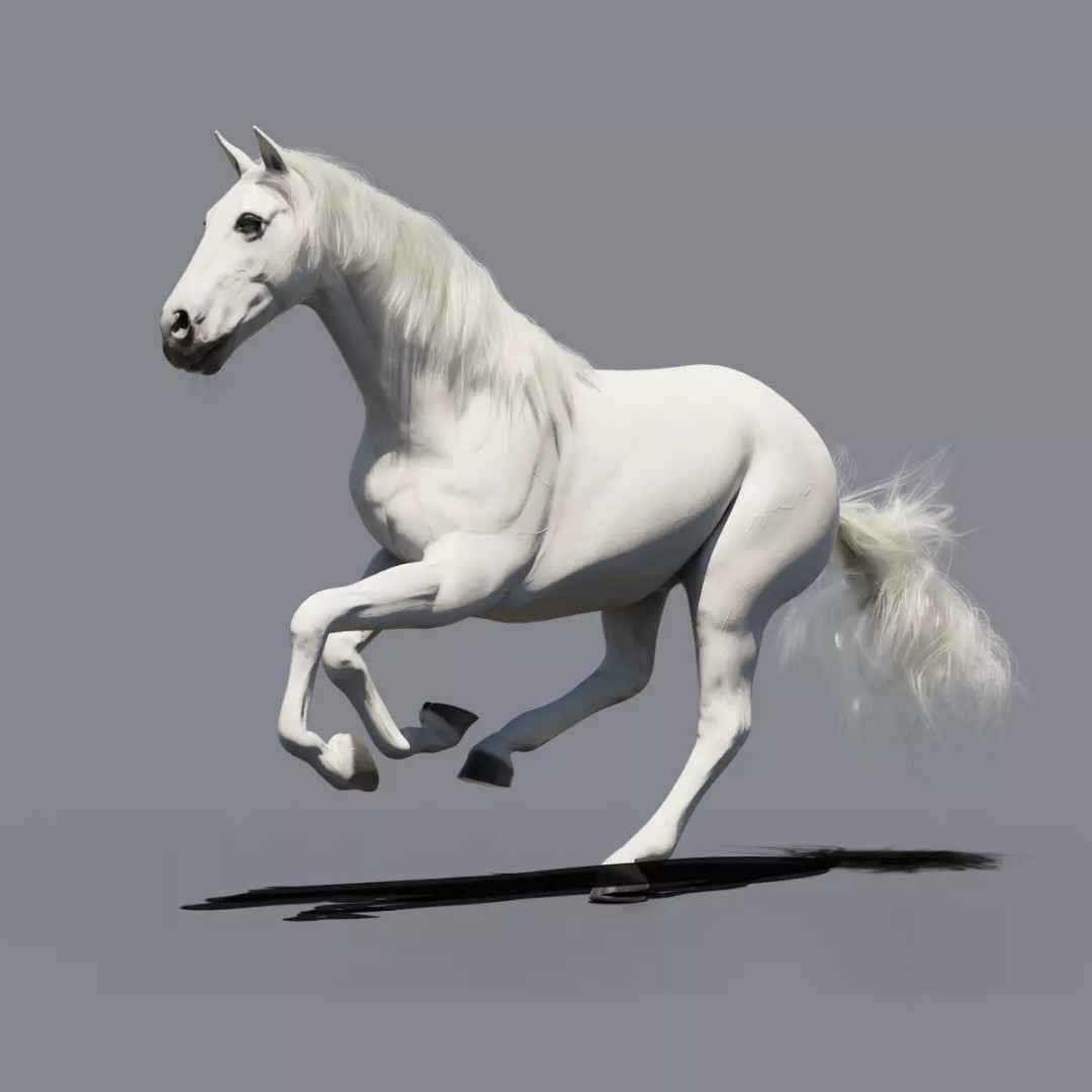 White Horse 3D Model – Rigged Animated Character, FBX - View 2