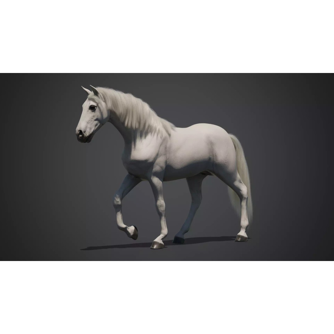 White Horse 3D Model – Rigged Animated Character, FBX - View 3