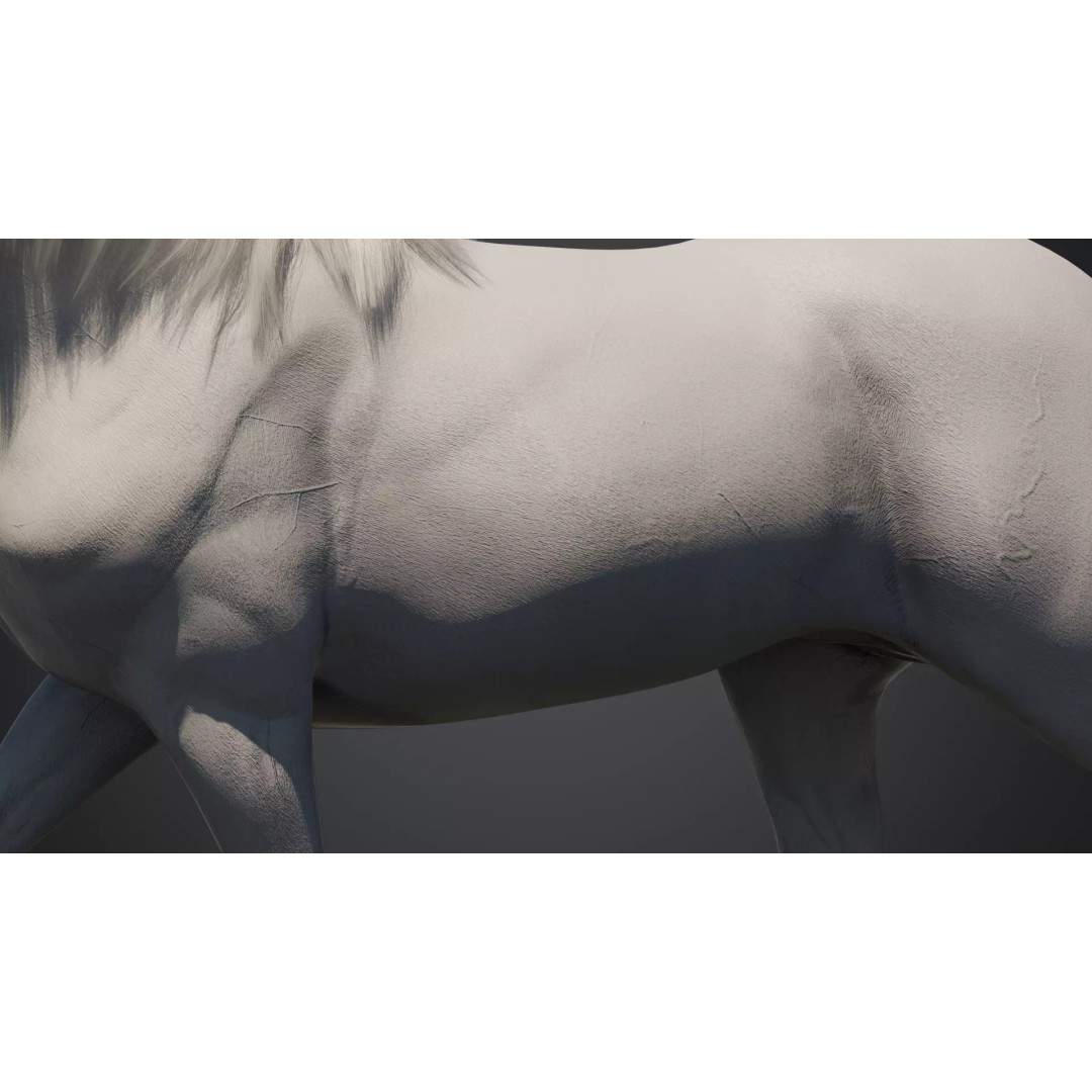 White Horse 3D Model – Rigged Animated Character, FBX - View 5