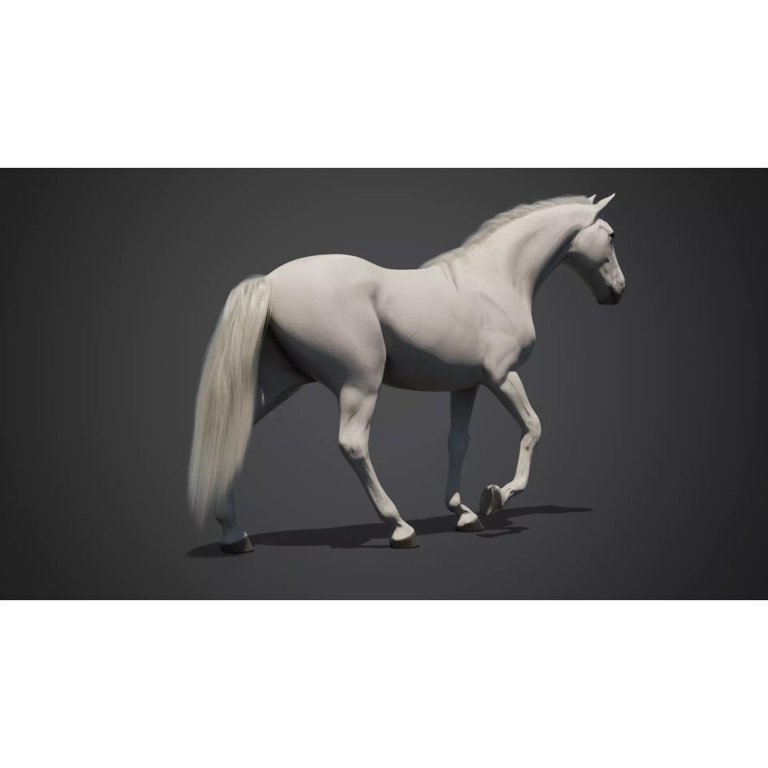 White Horse 3D Model – Rigged Animated Character, FBX - View 6