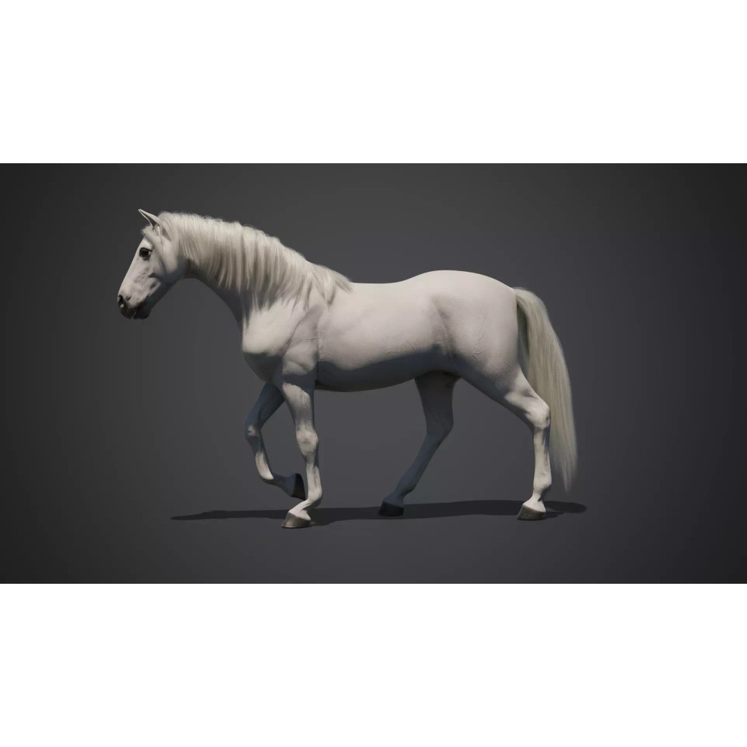 White Horse 3D Model – Rigged Animated Character, FBX - View 7