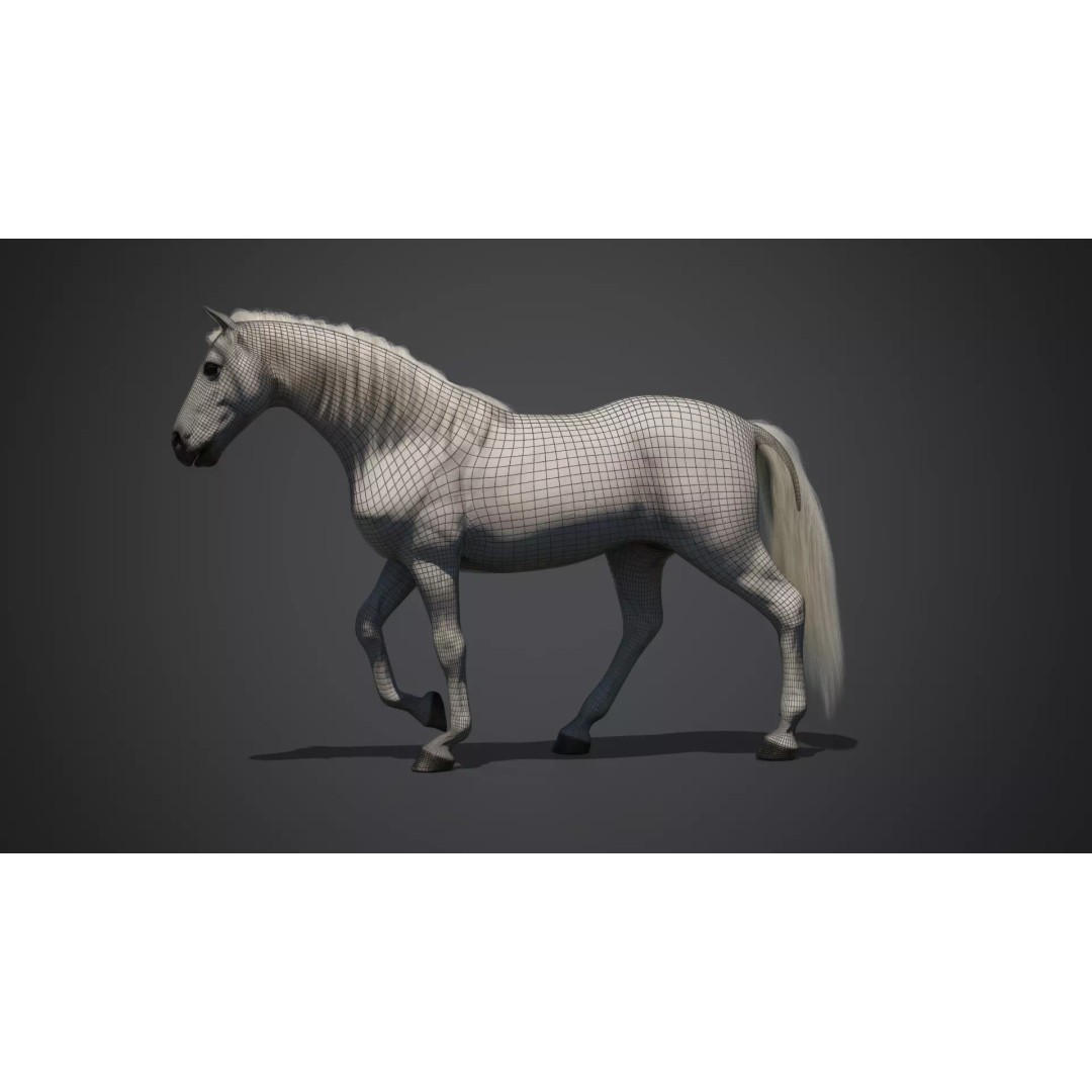 White Horse 3D Model – Rigged Animated Character, FBX - View 8