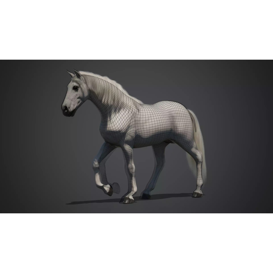 White Horse 3D Model – Rigged Animated Character, FBX - View 9