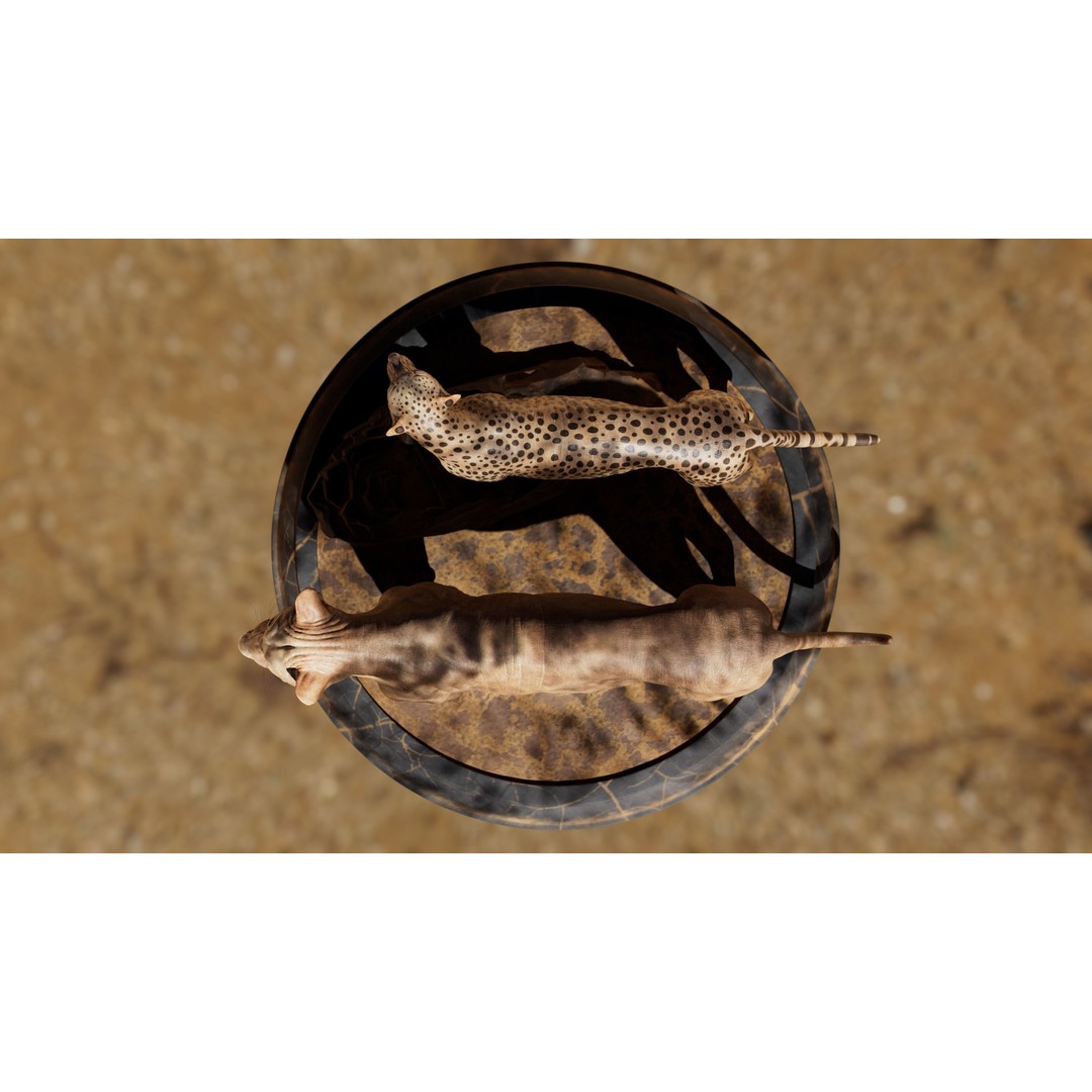 Cheetah 3D Model – Low Poly Rigged Animal with Textures, FBX