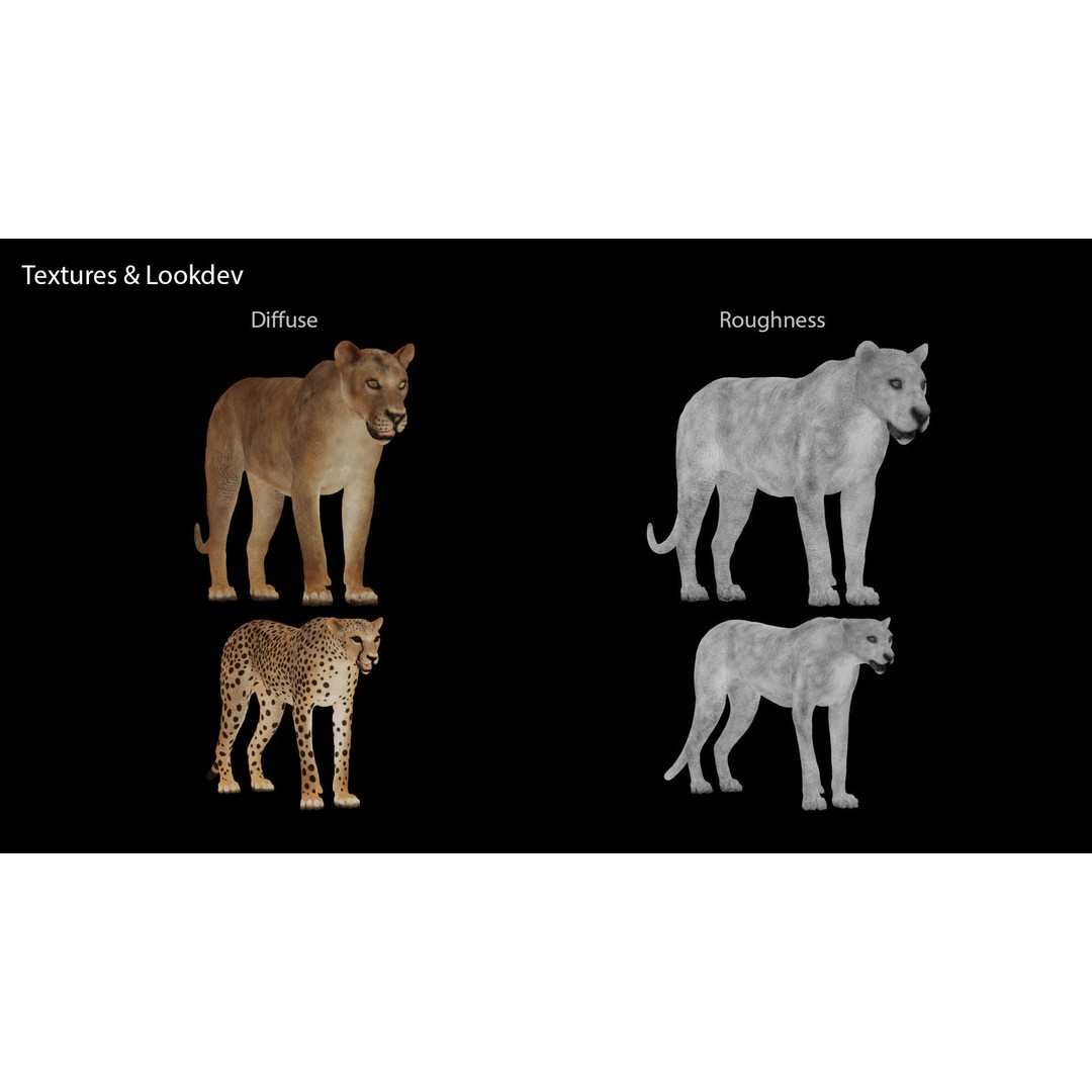 Cheetah 3D Model – Low Poly Rigged Animal with Textures, FBX - View 11