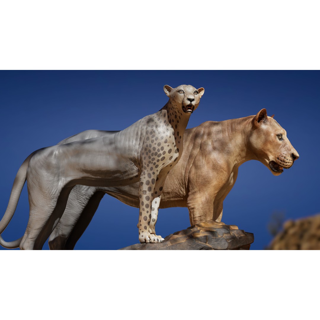 Cheetah 3D Model – Low Poly Rigged Animal with Textures, FBX - View 3