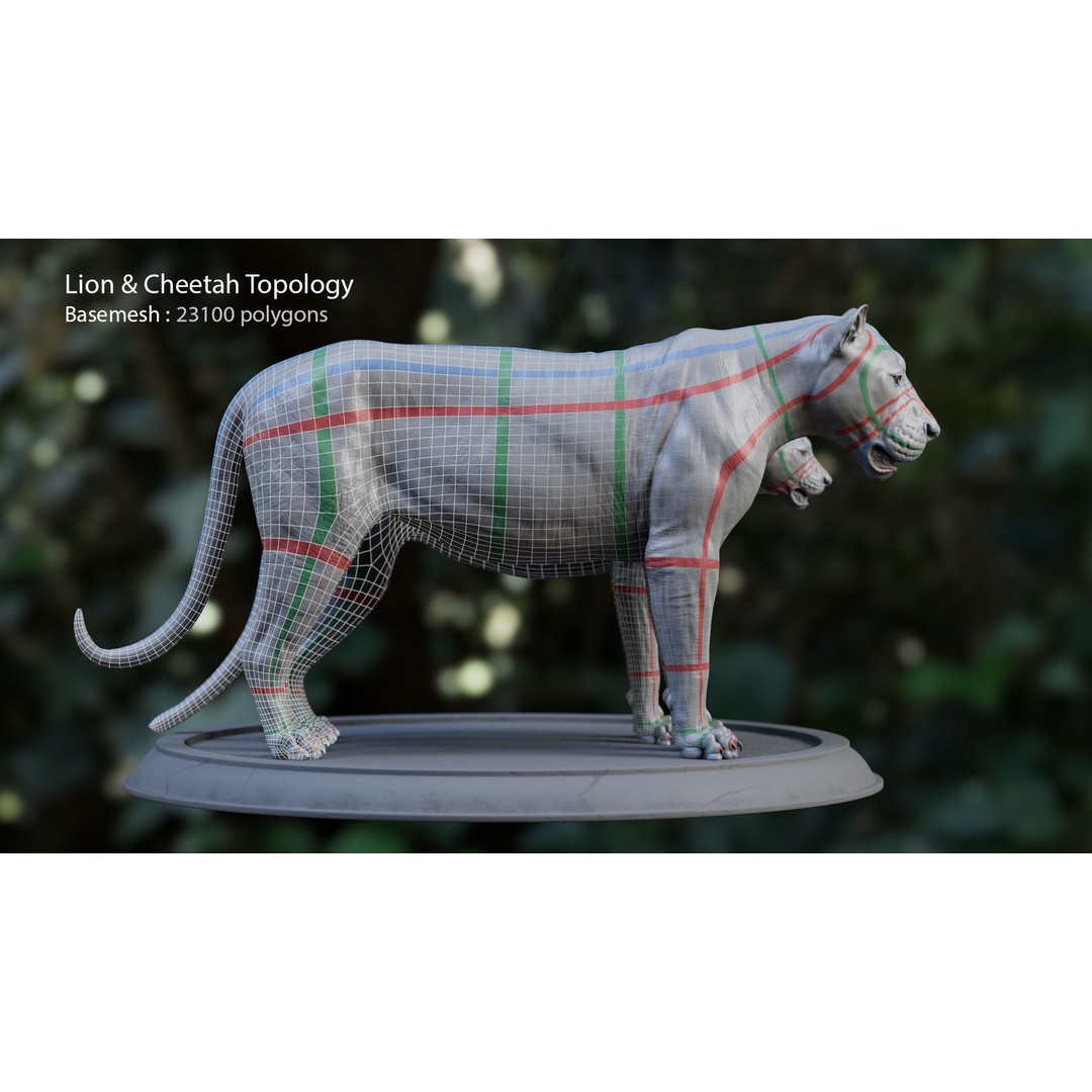 Cheetah 3D Model – Low Poly Rigged Animal with Textures, FBX - View 5