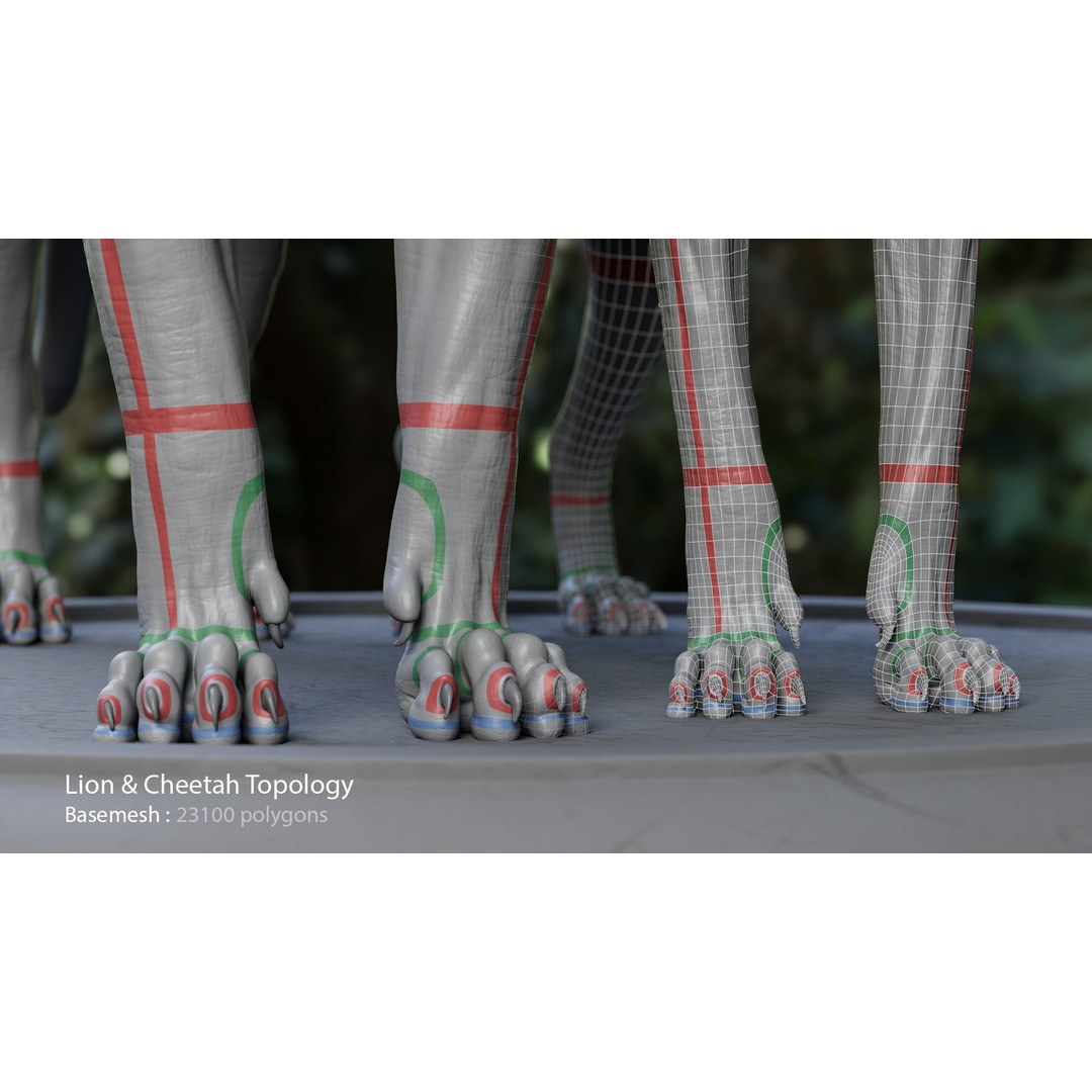 Cheetah 3D Model – Low Poly Rigged Animal with Textures, FBX - View 6