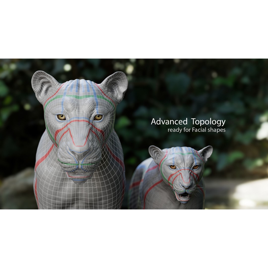 Cheetah 3D Model – Low Poly Rigged Animal with Textures, FBX - View 7