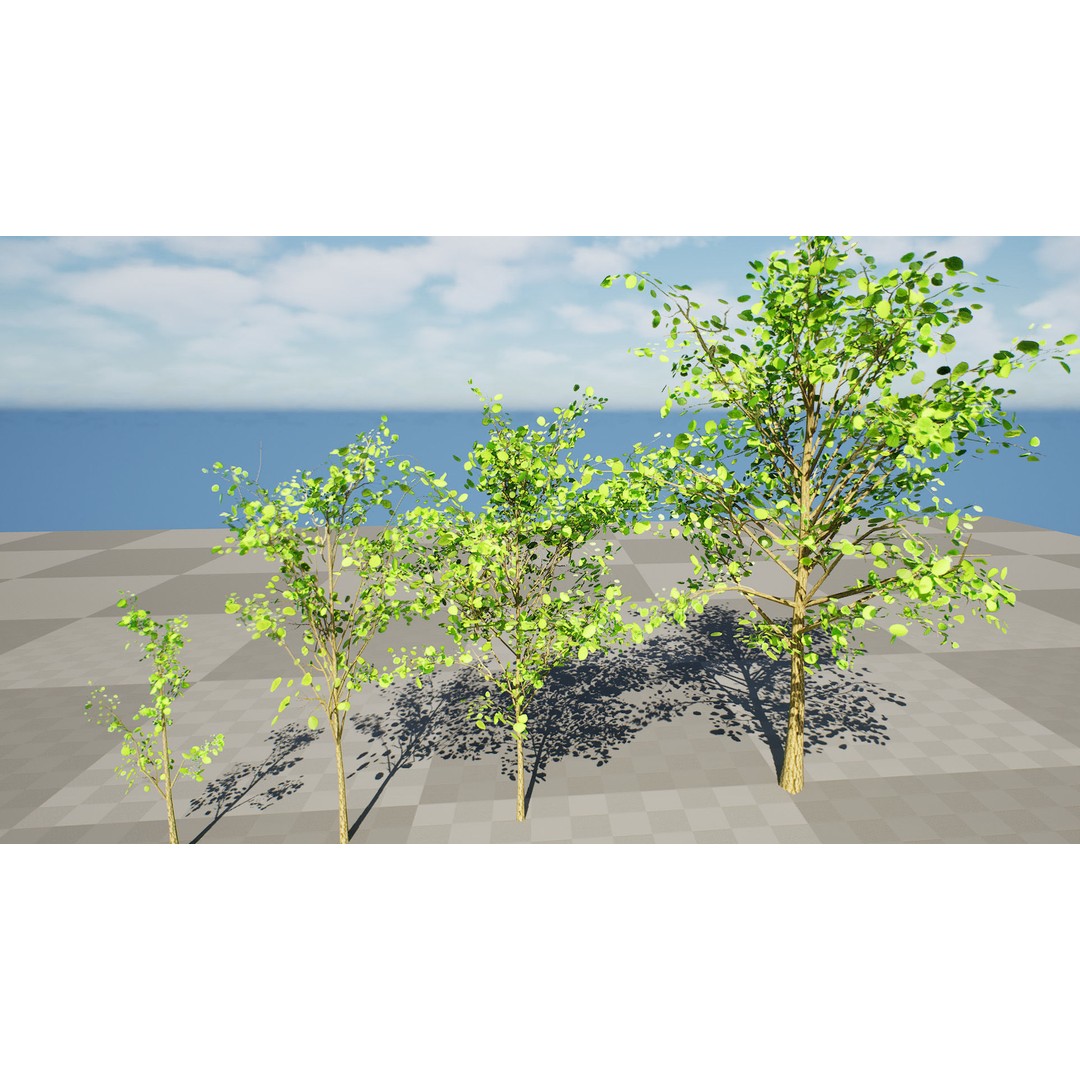 Katsura Tree 3D Model – Low Poly Game Asset, PBR Textures, FBX - View 10