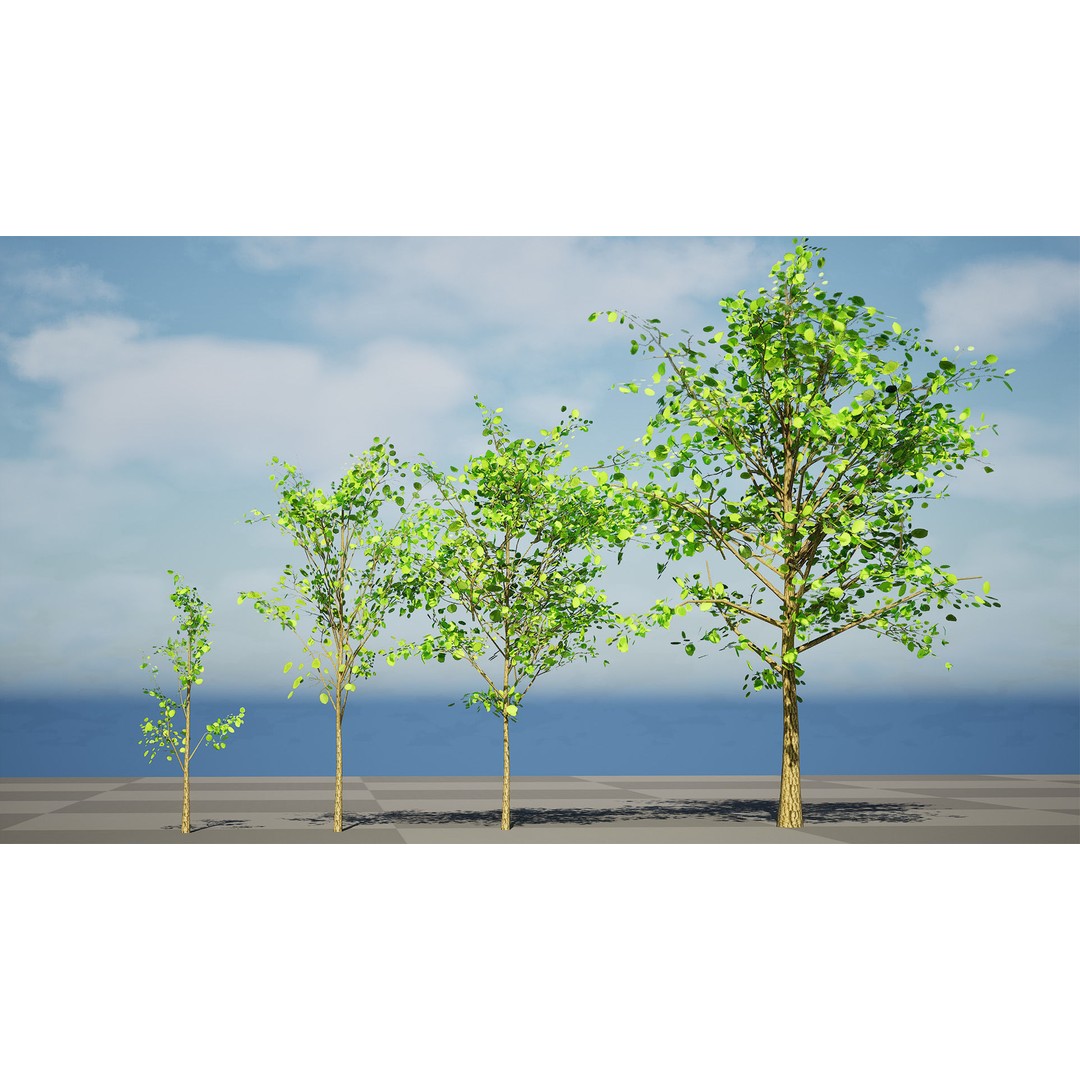 Katsura Tree 3D Model – Low Poly Game Asset, PBR Textures, FBX - View 4