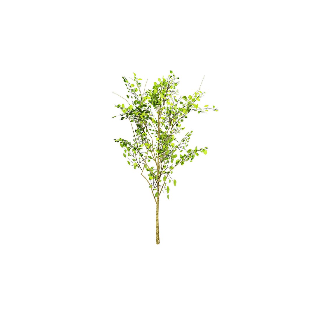Katsura Tree 3D Model – Low Poly Game Asset, PBR Textures, FBX - View 9